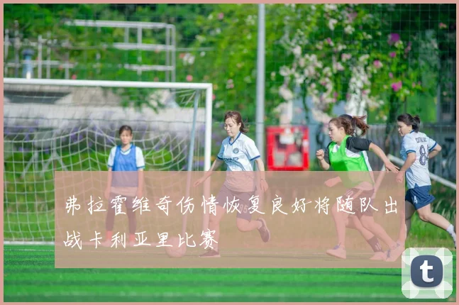 弗拉霍维奇伤情恢复良好将随队出战卡利亚里比赛