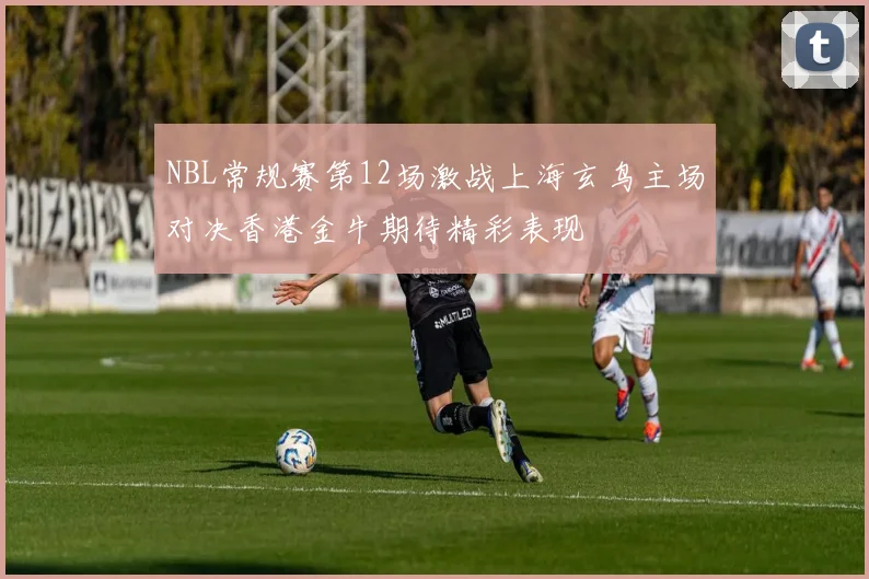 NBL常规赛第12场激战上海玄鸟主场对决香港金牛期待精彩表现