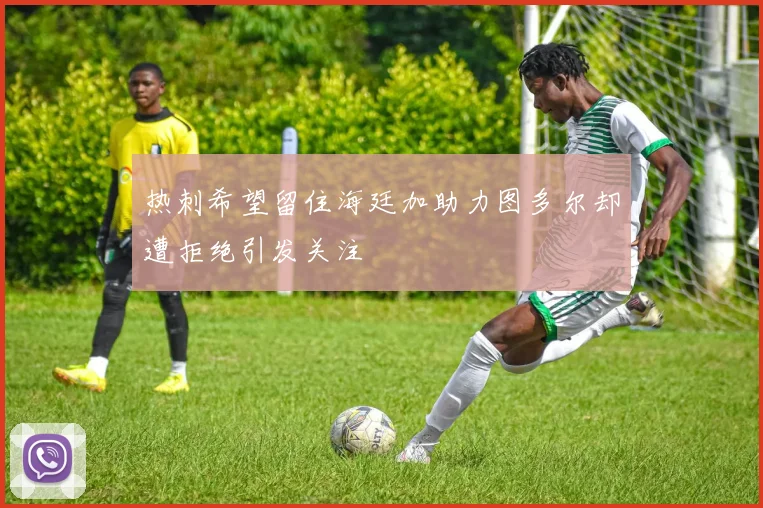 热刺希望留住海廷加助力图多尔却遭拒绝引发关注