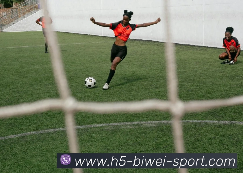 必威体育APP 封面图